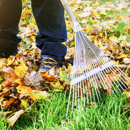 Gardern Cleaning