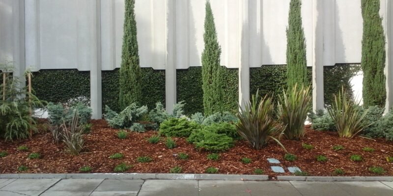 Plant and fence
