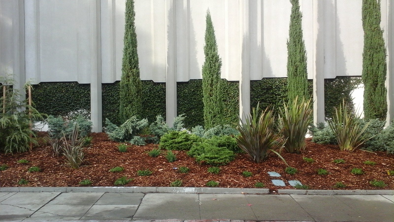 Plant and fence