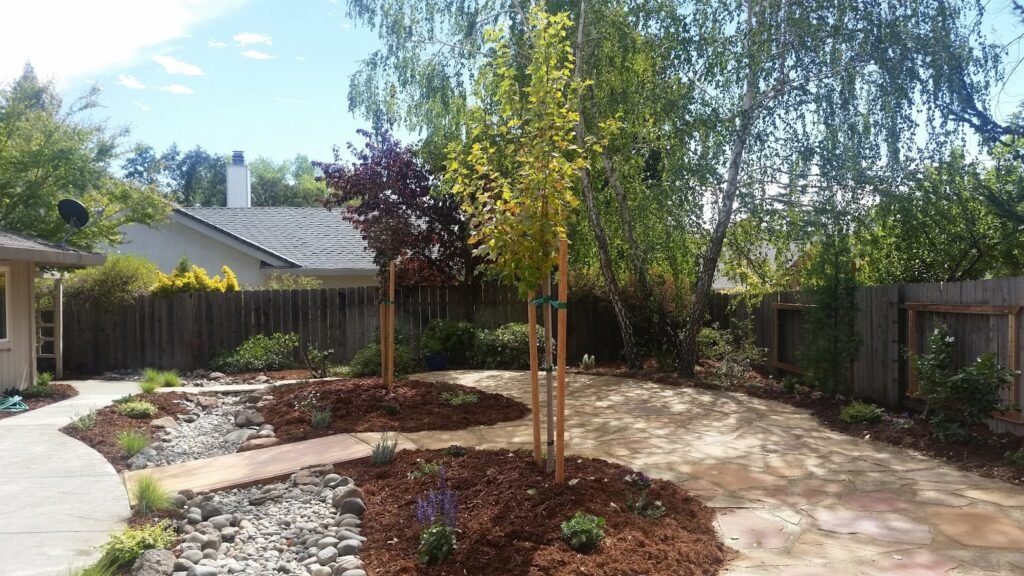 tree care