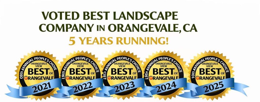 best landscaping concept award