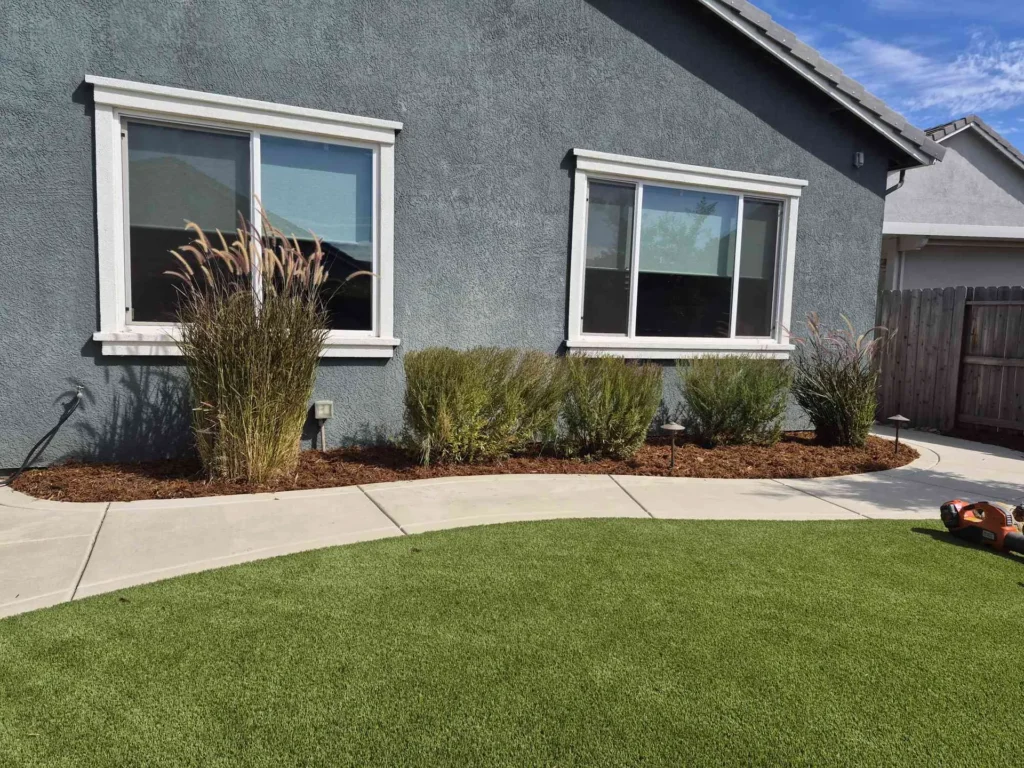 Green turf beside a curved concrete walkway and a mulched bed with ornamental grasses.
